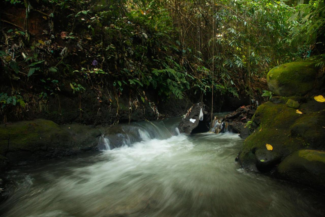 Pondok Legon House Ubud Dış mekan fotoğraf